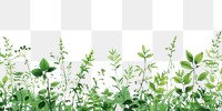 PNG Nature line horizontal border backgrounds outdoors plant.