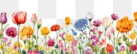 PNG Flowers line horizontal border backgrounds outdoors pattern.