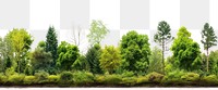PNG Forest line horizontal border landscape outdoors woodland.