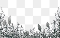 PNG Plant line horizontal border backgrounds drawing sketch.
