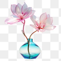 PNG Blossom flower plant vase.