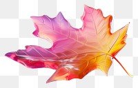 PNG Autumn icon autumn maple plant.