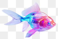 PNG Fish goldfish animal underwater.