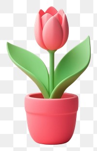 PNG Tulip flower petal plant inflorescence.
