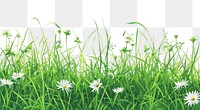 PNG Evergreen grass field and flower backgrounds grassland outdoors.