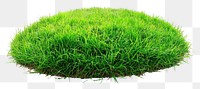 PNG Fresh green grass plant lawn white background.