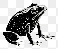 PNG Silkscreen of frog amphibian wildlife animal.