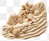 PNG Invertebrate creativity seashell seafood.