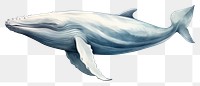 PNG A whale full body animal mammal fish.