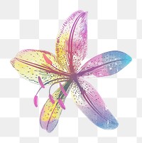 PNG Lily Risograph style flower petal white background.