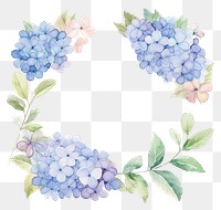 PNG Hydrangea frame grapes plant white background.
