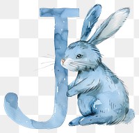 PNG Bunny alphabet J animal mammal 