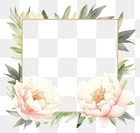 PNG Little white peony square border pattern flower plant.