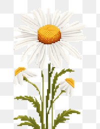 Cross stitch chamomile flower daisy plant.