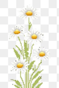 Cross stitch chamomile flower plant daisy.