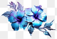 PNG Hisbiscus hibiscus flower violet