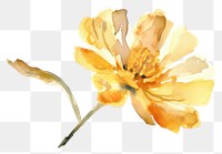 PNG Vintage flower blossom pollen petal.