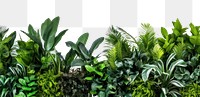 PNG Plants backgrounds vegetation outdoors.