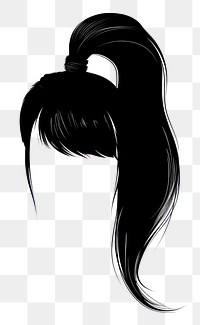 Hairstyle ponytail black 