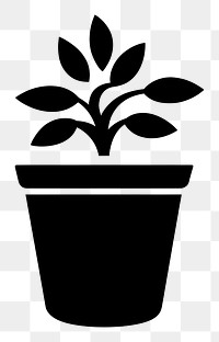 PNG Simple coffee icon plant black leaf.