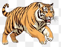 PNG Tiger drawing cartoon animal.