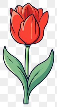 PNG Tulip Clip art cartoon flower plant.