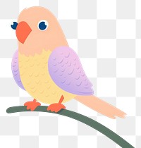 PNG Animal parrot bird lovebird.