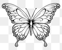 PNG Butterfly sketch drawing white.
