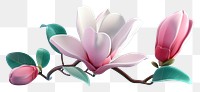 PNG 3d Magnolia magnolia blossom flower