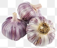 PNG Garlics garlic vegetable plant.