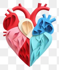 PNG Medical art heart accessories.