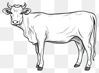 PNG Cow livestock cattle mammal.