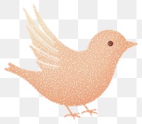 PNG Peach color bird icon animal white background creativity.