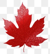 PNG Red color maple leaf icon plant shape tree.