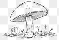 PNG Mushroom sketch drawing fungus