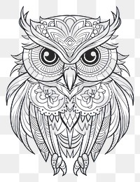 PNG Owl sketch drawing doodle.