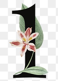 Number 1 png floral illustration, transparent background