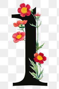 Number one png floral illustration, transparent background