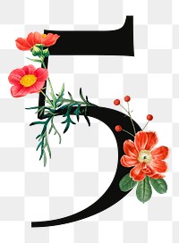 Number 5 png floral illustration, transparent background