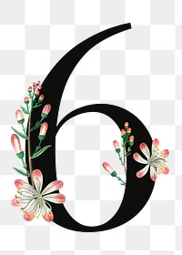 Number 6 png floral illustration, transparent background