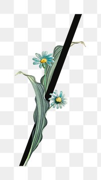 Floral slash png digital art illustration, transparent background