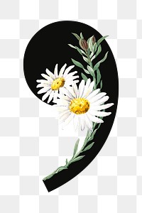 Floral comma png digital art illustration, transparent background