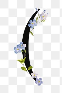 Floral parentheses png digital art illustration, transparent background