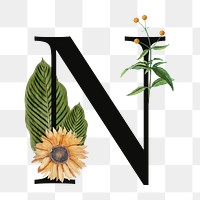 PNG floral letter N digital art illustration, transparent background