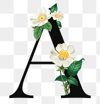 PNG floral letter A digital art illustration, transparent background