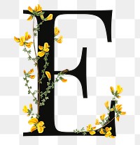PNG floral letter E digital art illustration, transparent background