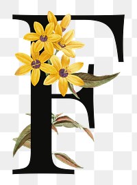 PNG floral letter F digital art illustration, transparent background