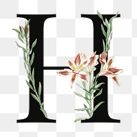 PNG floral letter H digital art illustration, transparent background