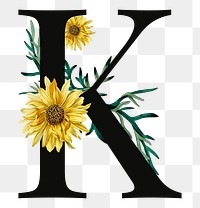 PNG floral letter K digital art illustration, transparent background