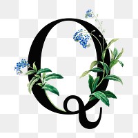 PNG floral letter Q digital art illustration, transparent background